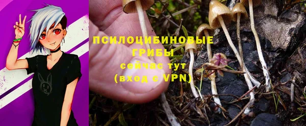 наркотики Михайлов